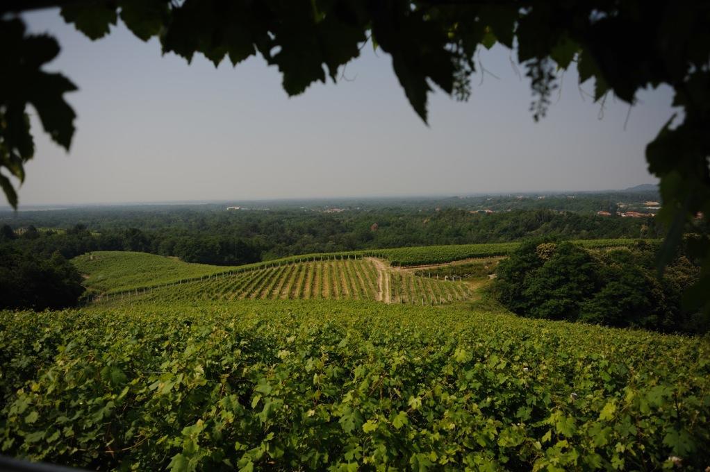 Locanda Villa Cavalleri Gattinara Bagian luar foto